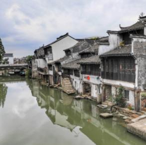 纯种波斯猫价格 建议多了解它的性格