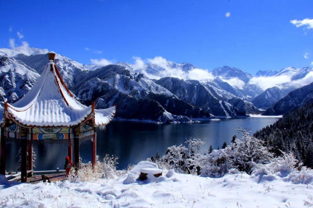 救援水管工